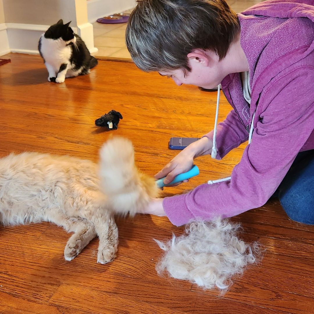 Cat and Dog Brush™