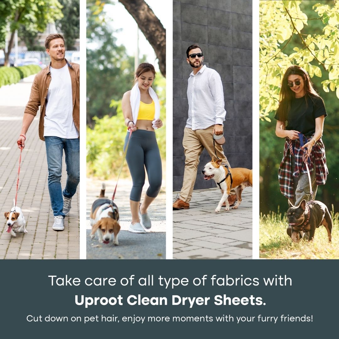 Dryer Sheets for Pet Owners - Summer Wisteria™