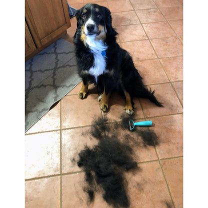 Cat and Dog Brush™