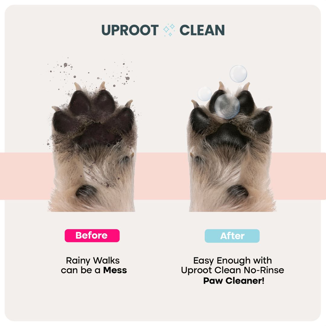 Pet Care Bundle™