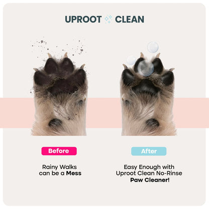 Pet Care Bundle™