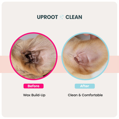 Ear Wipes™