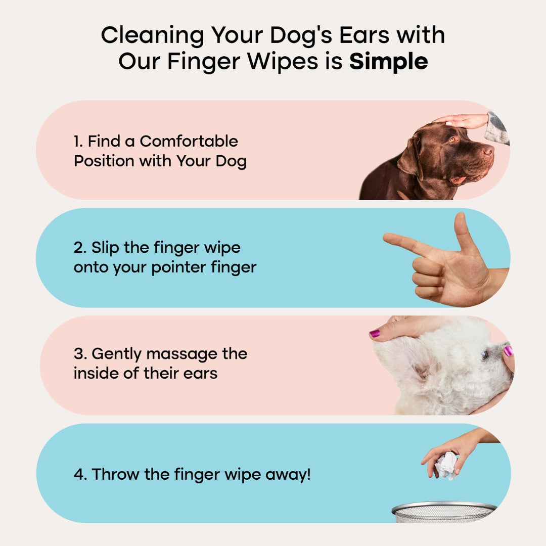 Ear Wipes™