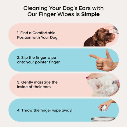 Ear Wipes™