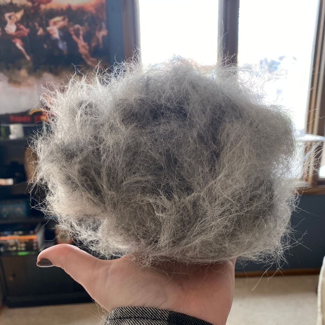 Cat and Dog Brush™