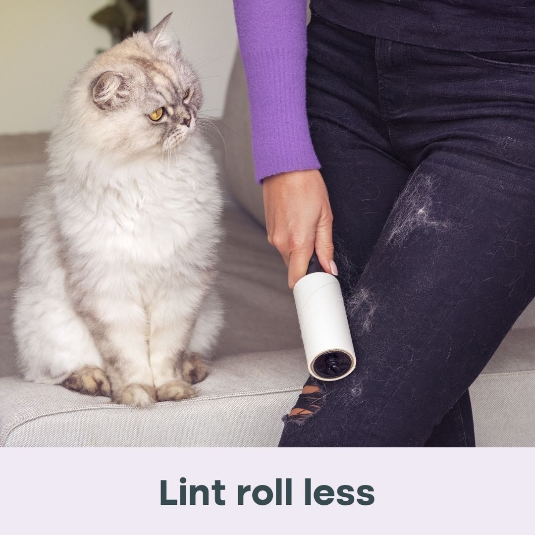 Dryer Sheets for Pet Owners - Summer Wisteria™