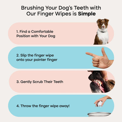 Dental Wipes™
