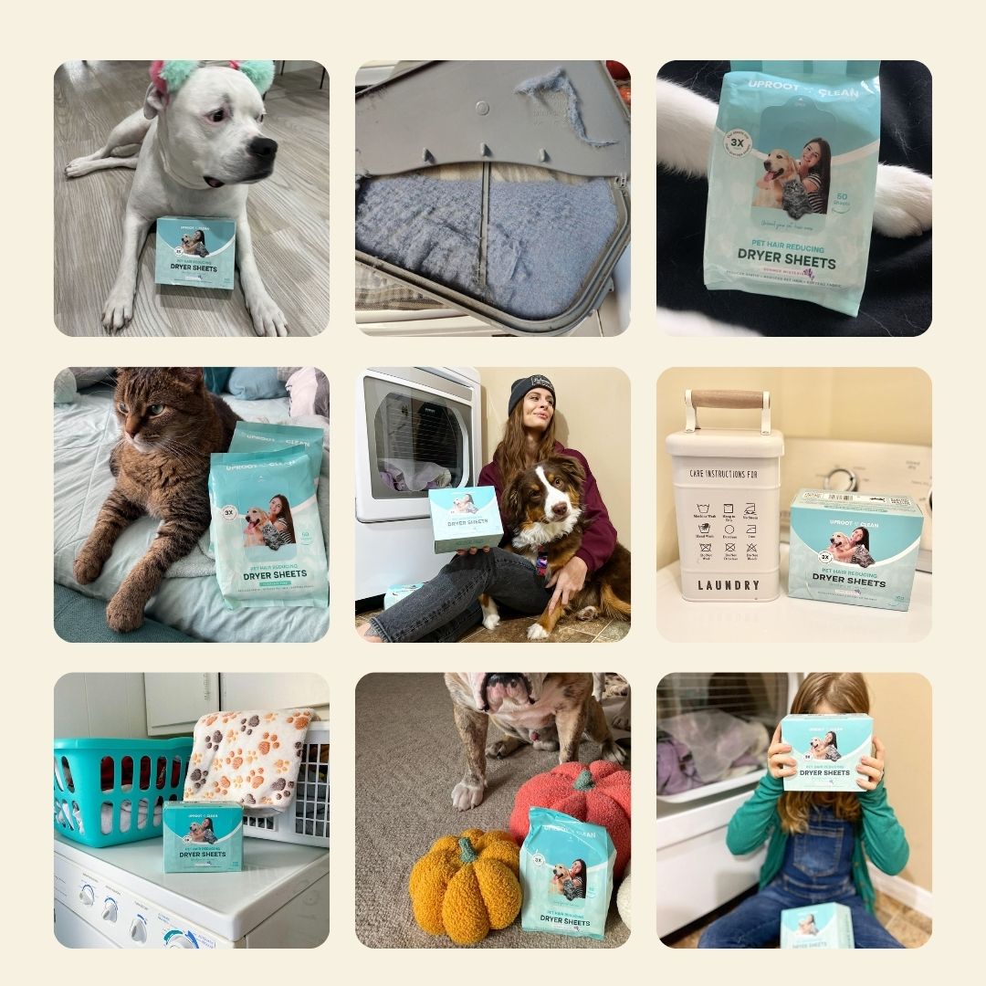 Dryer Sheets for Pet Owners - Summer Wisteria™