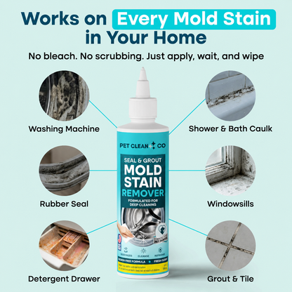 Mold Stain Remover™