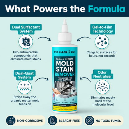 Mold Stain Remover™
