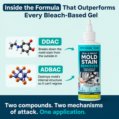 Mold Stain Remover™