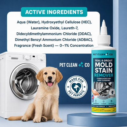 Mold Stain Remover™