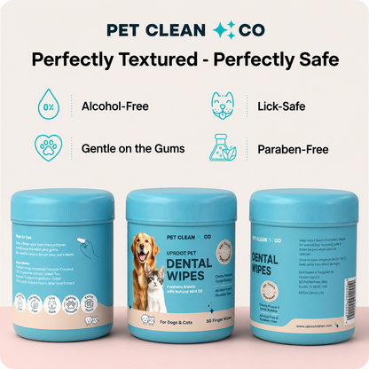 Dental Wipes™