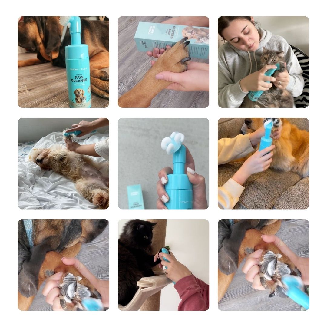Pet Care Bundle™
